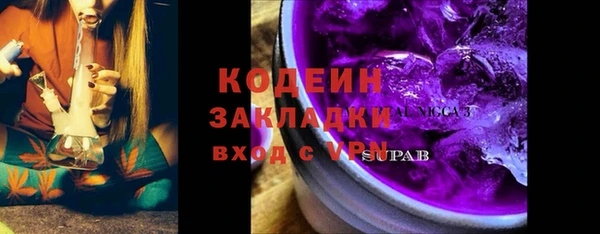 индика Карпинск