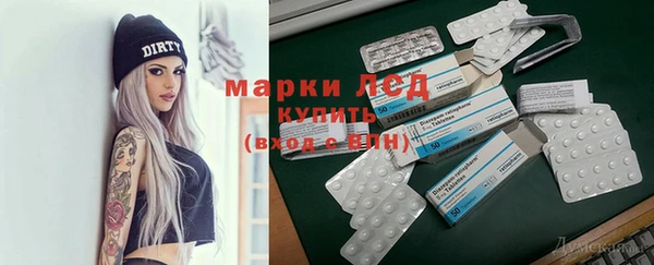 индика Карпинск