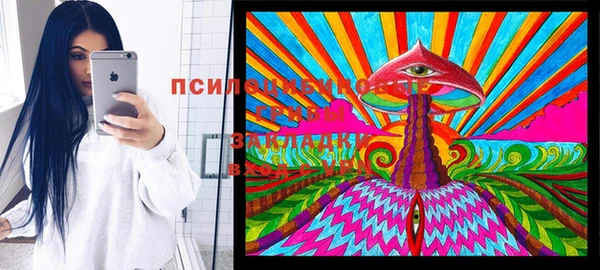 индика Карпинск