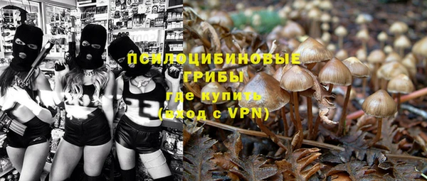ГАЛЛЮЦИНОГЕННЫЕ ГРИБЫ Карталы