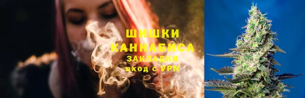 ГАЛЛЮЦИНОГЕННЫЕ ГРИБЫ Карталы