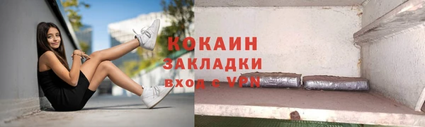 индика Карпинск