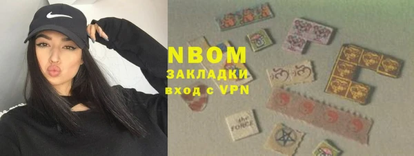 индика Карпинск