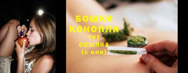 ГАЛЛЮЦИНОГЕННЫЕ ГРИБЫ Карталы