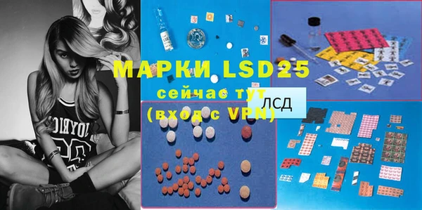 индика Карпинск