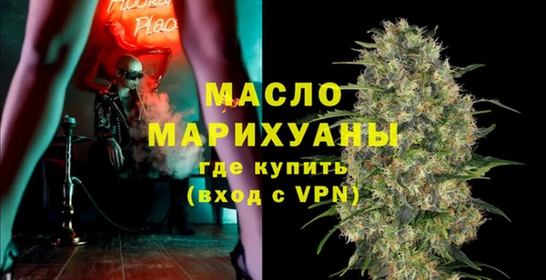 индика Карпинск