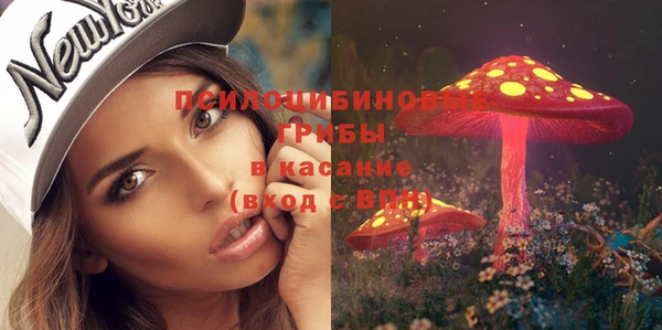 индика Карпинск