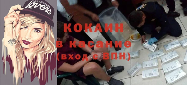 ГАЛЛЮЦИНОГЕННЫЕ ГРИБЫ Карталы