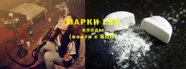 ГАЛЛЮЦИНОГЕННЫЕ ГРИБЫ Карталы
